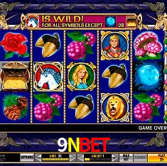 9Nbet Brasília - Casino Guide